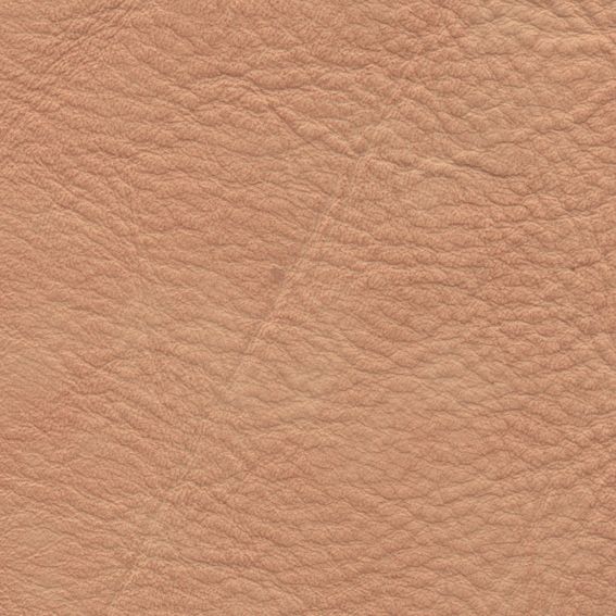 皮革-压花 017下载