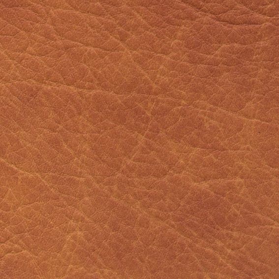 皮革-压花 019下载