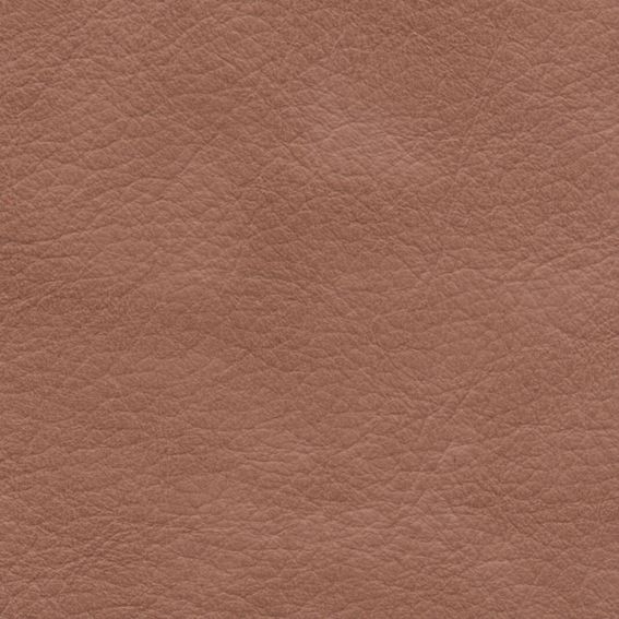 皮革-压花 026下载