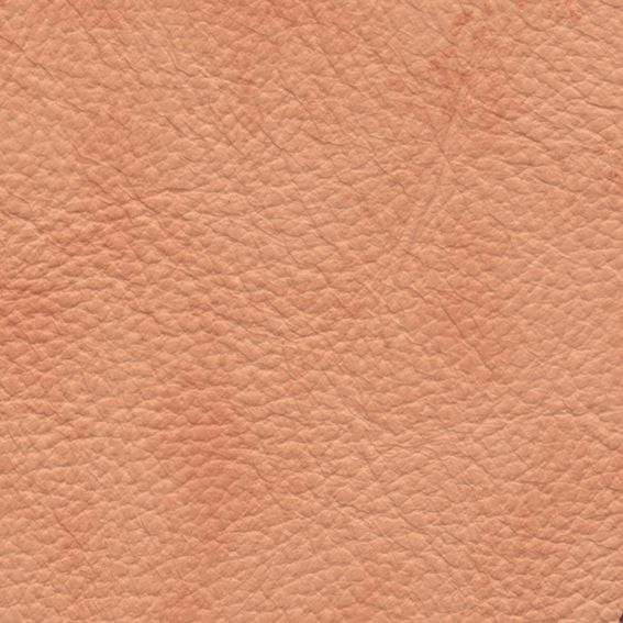 皮革-压花 030下载