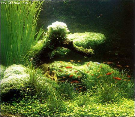 其他杂项-鱼缸贴图 029下载