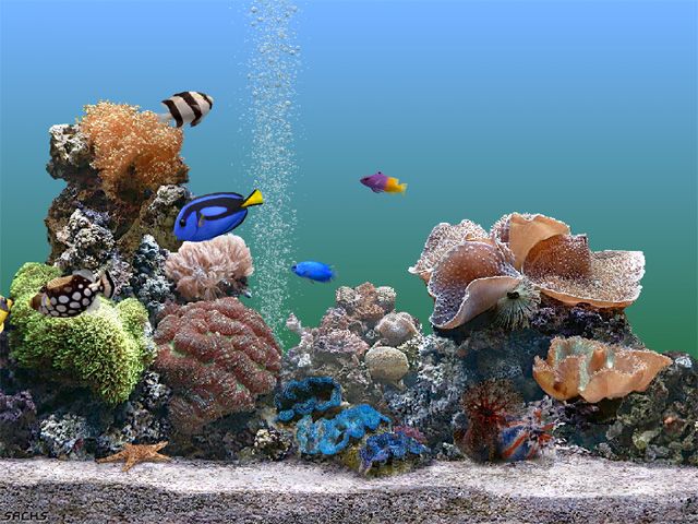 其他杂项-鱼缸贴图 043下载
