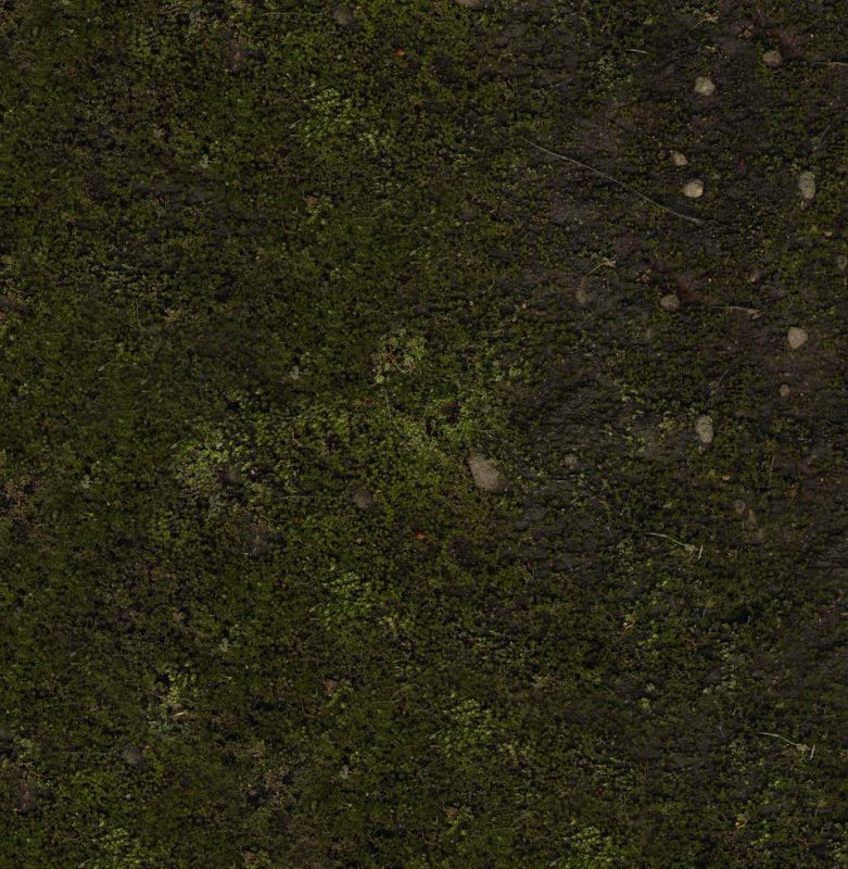 其他杂项-植物纹理 004下载