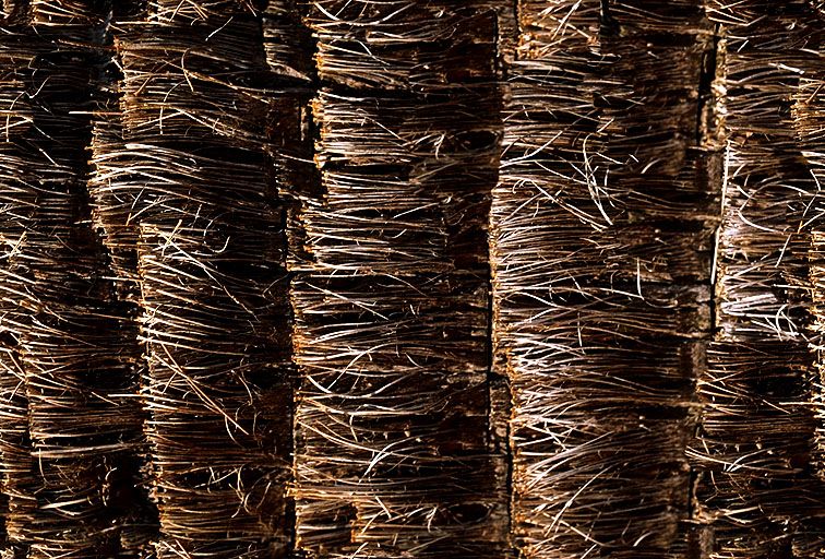 其他杂项-植物纹理 057下载