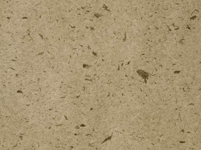 其他杂项-纸纹贴图 007下载