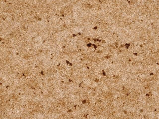 其他杂项-纸纹贴图 008下载