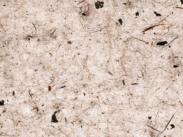 其他杂项-纸纹贴图 018下载