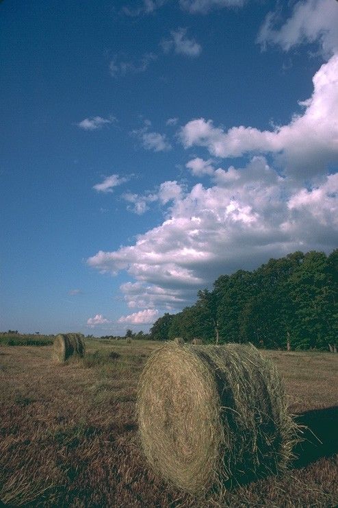 外景-天空  (119)下载