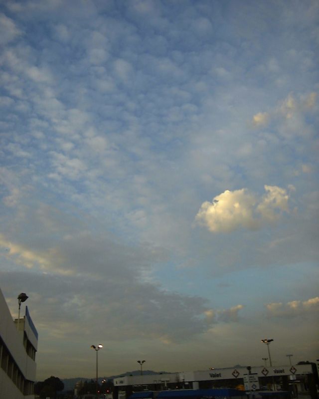 外景-天空  (164)下载