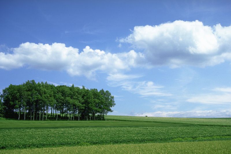 外景-外景  (104)下载