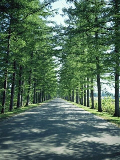 外景-外景  (12)