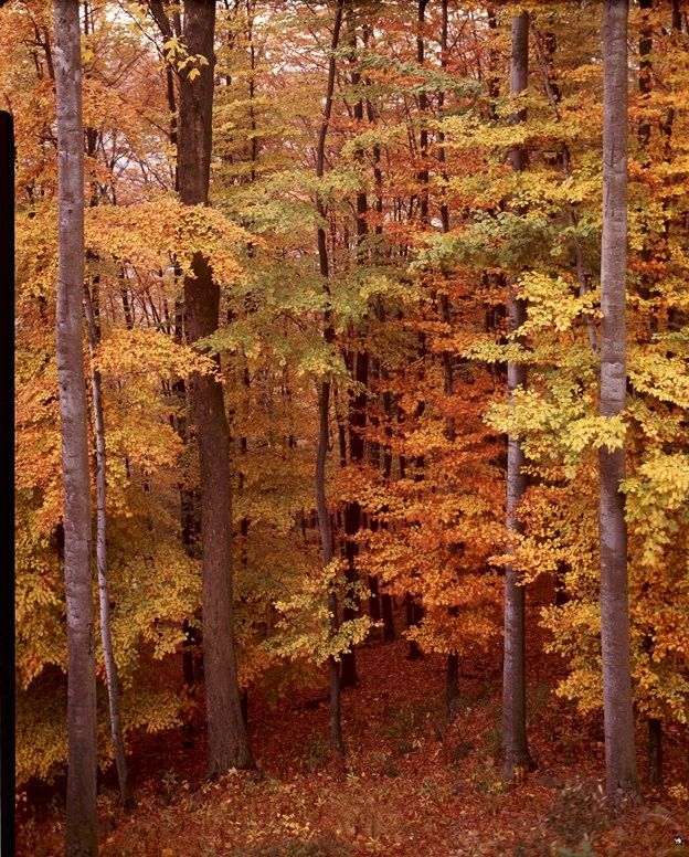 外景-外景  (39)下载
