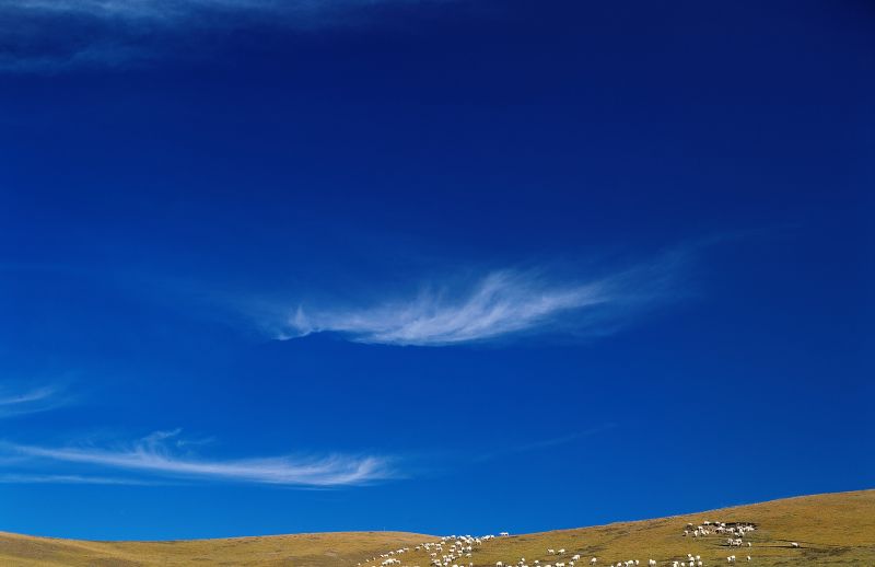 外景-外景  (48)下载