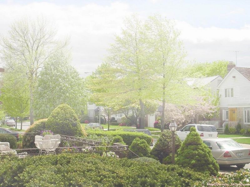 外景-小区园景  (11)下载