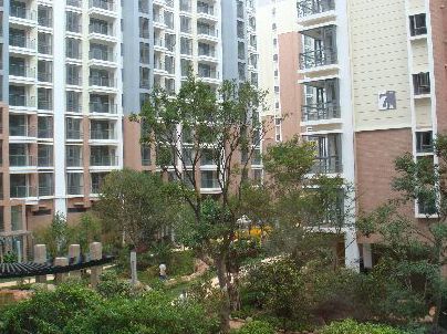 外景-小区园景  (10)下载