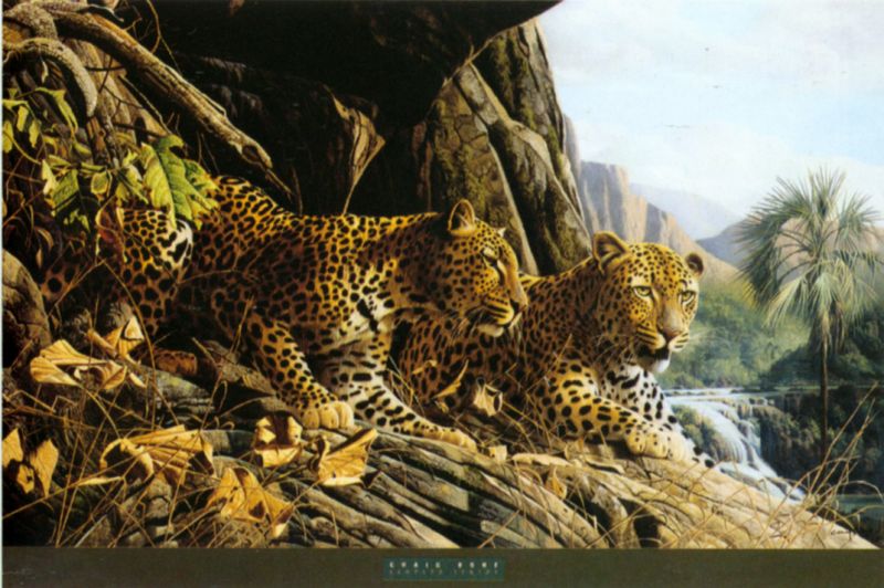 装饰画-动物  (15)下载