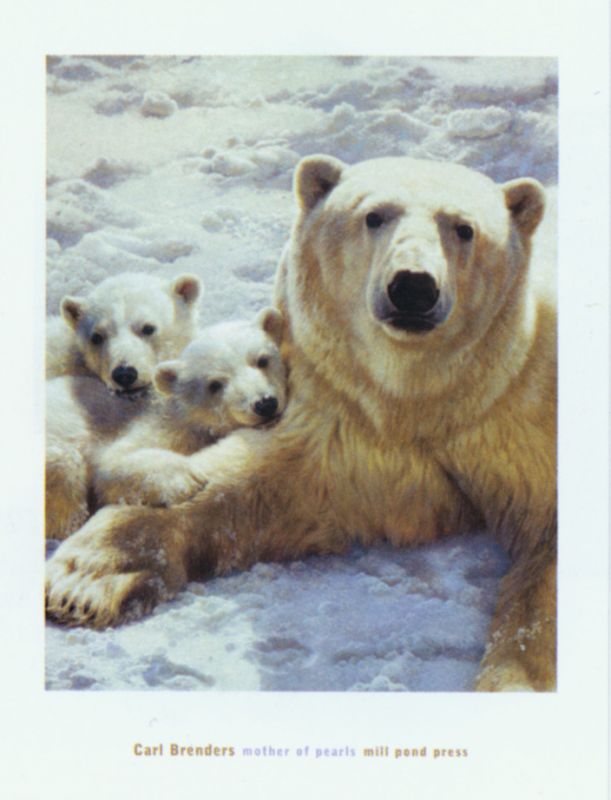 装饰画-动物  (19)下载