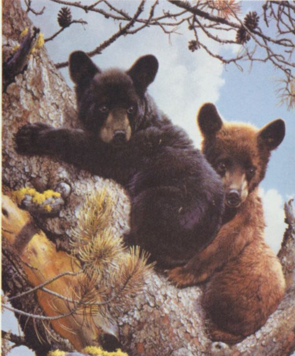 装饰画-动物  (20)下载