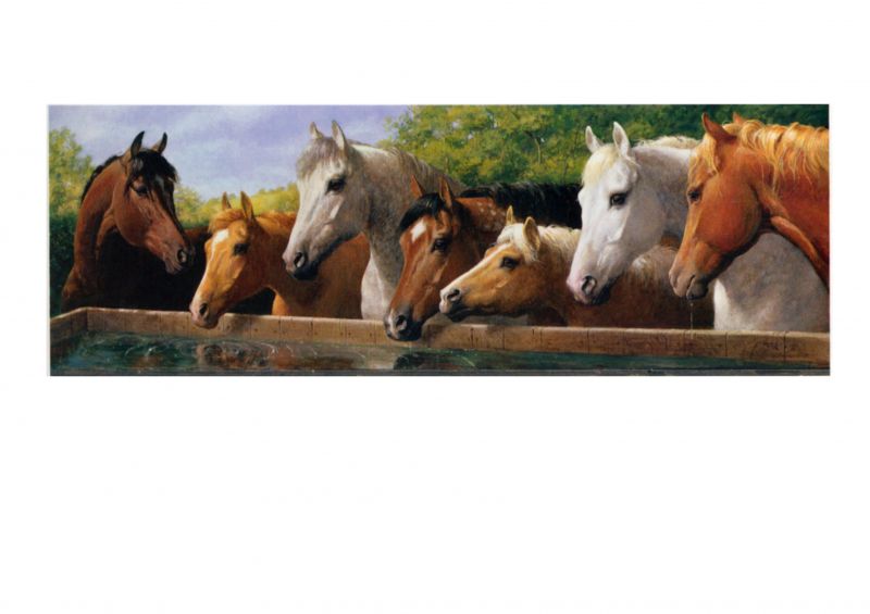 装饰画-动物  (39)下载