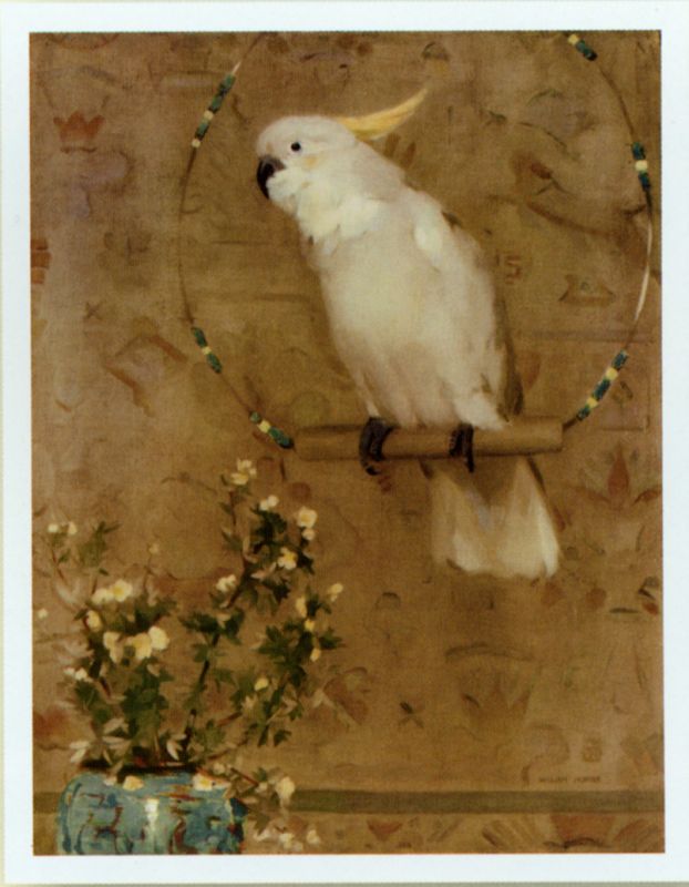 装饰画-动物  (6)下载