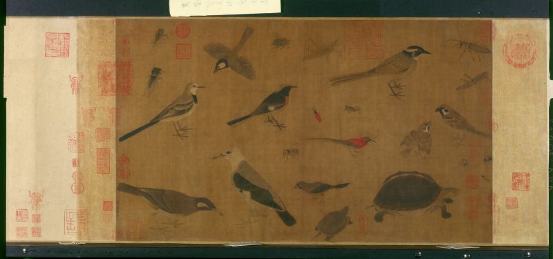 赵佶-写生珍禽图 27.5x521.