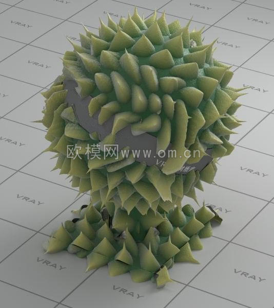 仙人掌材质