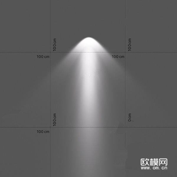 射灯(62)