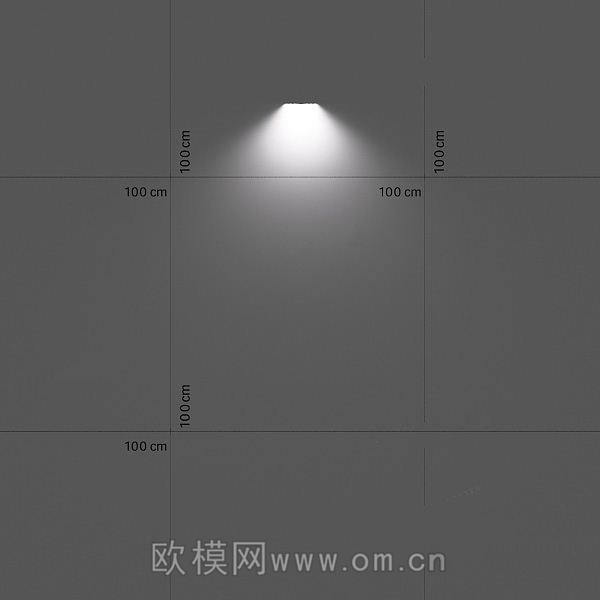轨道灯(11)