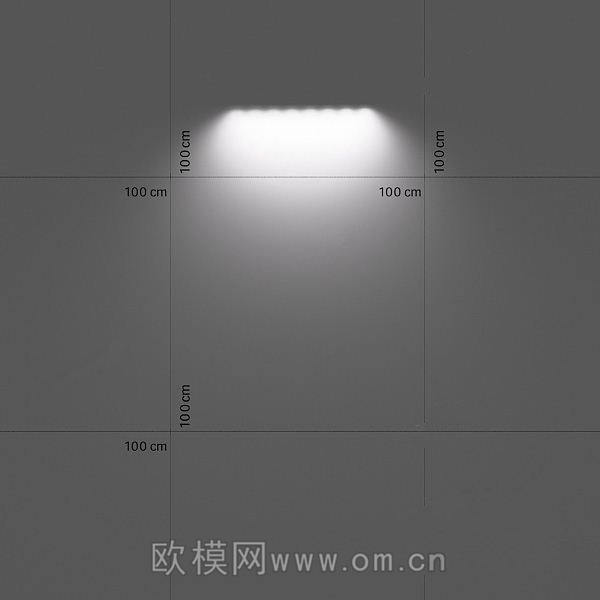 轨道灯(24)
