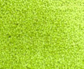  地毯-绒毛地毯 066 