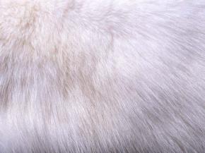  地毯-动物毛毯 054 