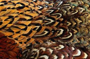  地毯-动物毛毯 070 