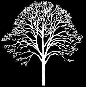  凹凸黑白-黑白凹凸 096 