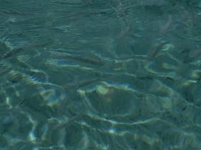  其他杂项-水纹贴图 009 