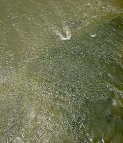  其他杂项-水纹贴图 024 