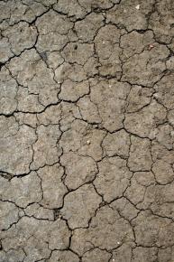  肌理 水泥 土地-土地 015 