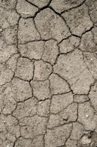  肌理 水泥 土地-土地 020 