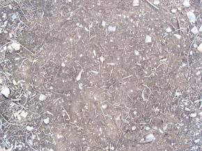  肌理 水泥 土地-土地 061 