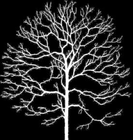  凹凸黑白-黑白凹凸 098 