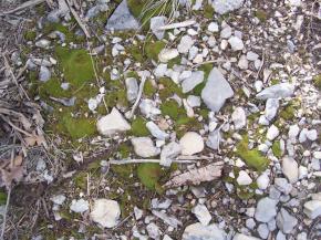  肌理 水泥 土地-土地 067 