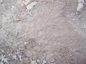  肌理 水泥 土地-土地 105 