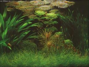  其他杂项-鱼缸贴图 024 