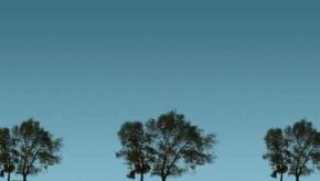  外景-外景素材  (10) 