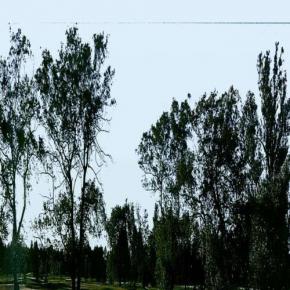  外景-外景素材  (15) 