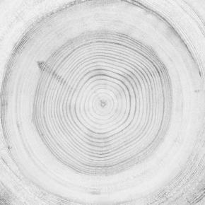  木纹木材-年轮 001 