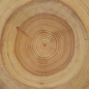  木纹木材-年轮 011 