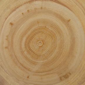  木纹木材-年轮 012 