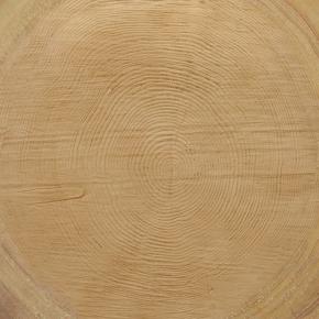  木纹木材-年轮 013 