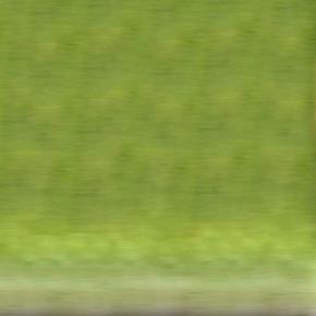  其他杂项-植物纹理 023 