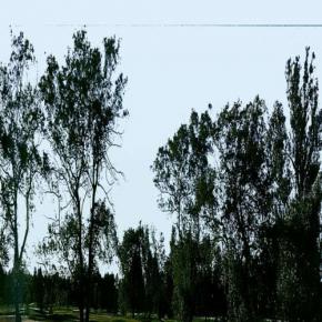  外景-外景素材  (44) 